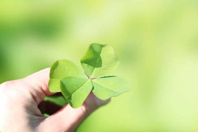 f:id:mizuwariwde:20161121213200j:plain