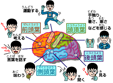 f:id:mizuwariwde:20170917184158p:plain f:id:mizuwariwde:20170917184158p:plain