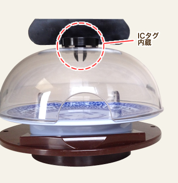 f:id:mizuwariwde:20171121203917p:plain