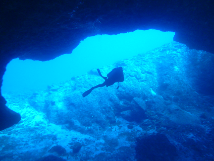 f:id:mizuwariwde:20190412221851p:plain f:id:mizuwariwde:20190412221851p:plain