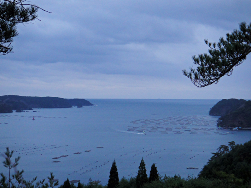 f:id:mizuyama-oyster-farm:20110412161725j:image:w500 f:id:mizuyama-oyster-farm:20110412161725j:image:w500