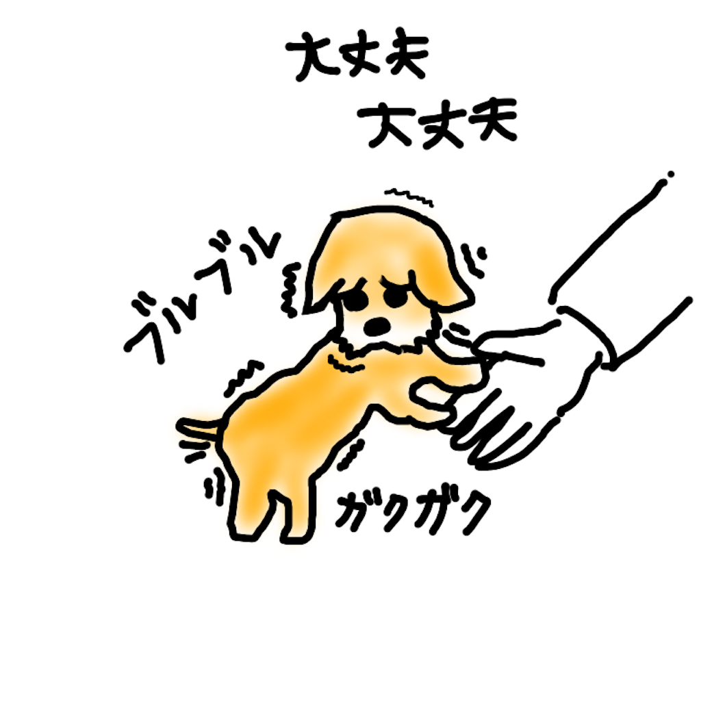 f:id:mizwe:20201230170401p:image f:id:mizwe:20201230170401p:image