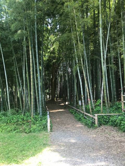 f:id:mjaloha:20180527215052j:plain f:id:mjaloha:20180527215052j:plain