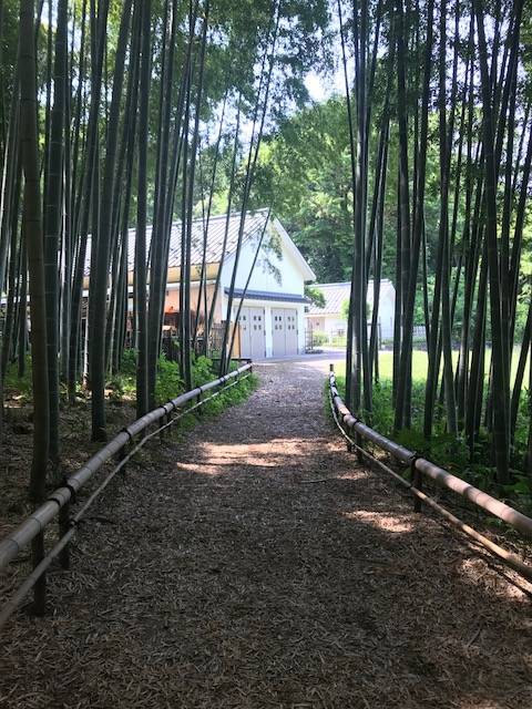 f:id:mjaloha:20180527215121j:plain f:id:mjaloha:20180527215121j:plain