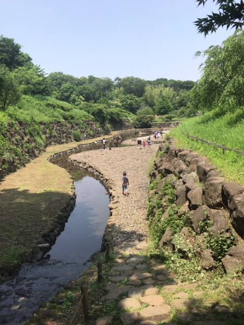 f:id:mjaloha:20180527223945j:plain f:id:mjaloha:20180527223945j:plain
