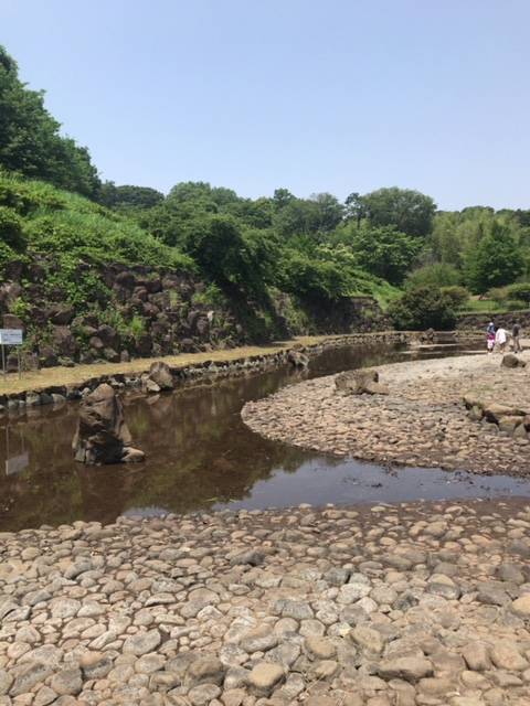 f:id:mjaloha:20180527223955j:plain f:id:mjaloha:20180527223955j:plain