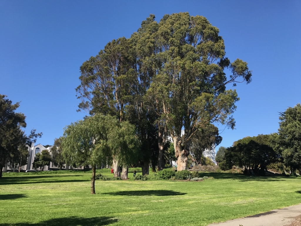 f:id:mjk0513:20170831223859j:plain f:id:mjk0513:20170831223859j:plain