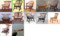 20100123133922