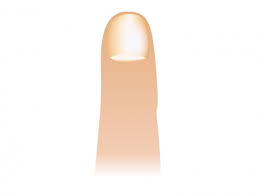 f:id:mjofking:20170728052828j:plain f:id:mjofking:20170728052828j:plain