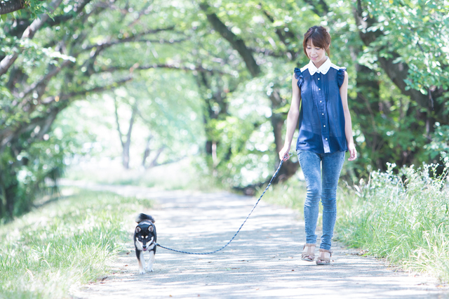 f:id:mjofking:20170924080601j:plain