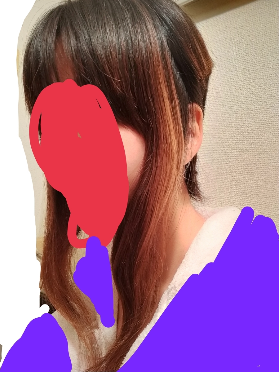 f:id:mjomayu:20210308135703j:plain