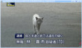 Windowsのボタンを細長くする