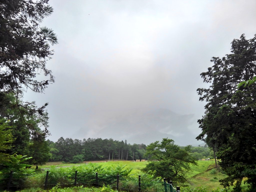 f:id:mjrun:20180611162942j:plain f:id:mjrun:20180611162942j:plain