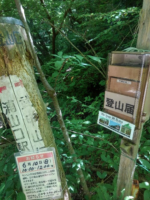 f:id:mjrun:20180614152057j:plain f:id:mjrun:20180614152057j:plain