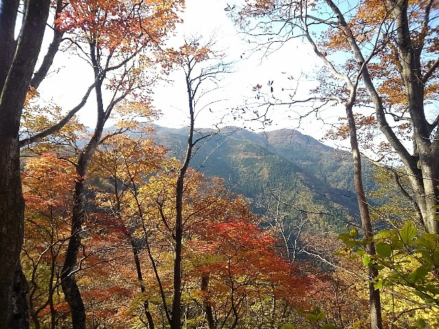 f:id:mjrun:20181118232758j:plain f:id:mjrun:20181118232758j:plain