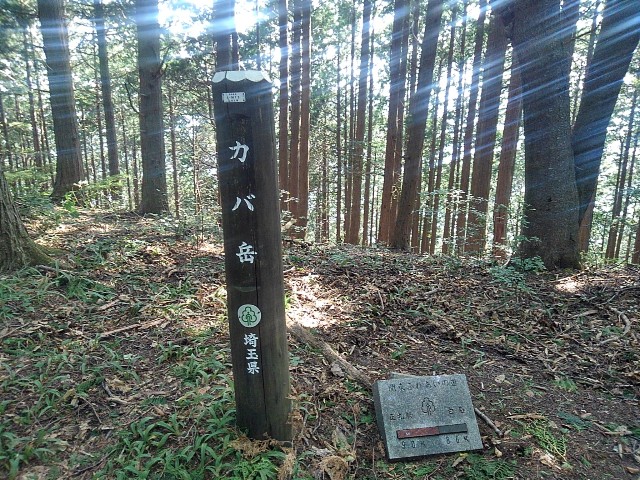f:id:mjrun:20190528114955j:plain f:id:mjrun:20190528114955j:plain