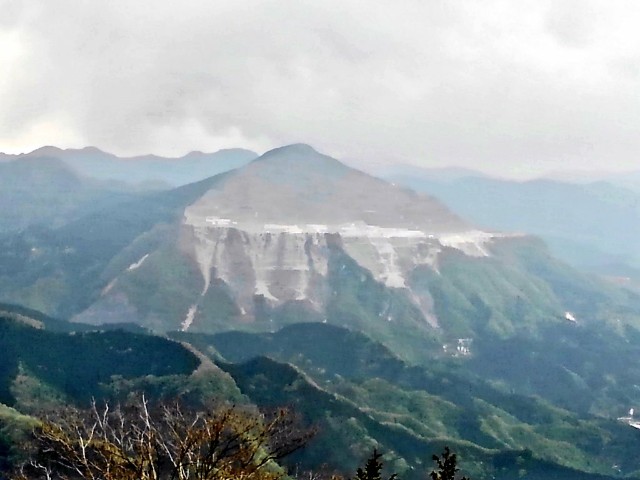f:id:mjrun:20190528123207j:plain f:id:mjrun:20190528123207j:plain