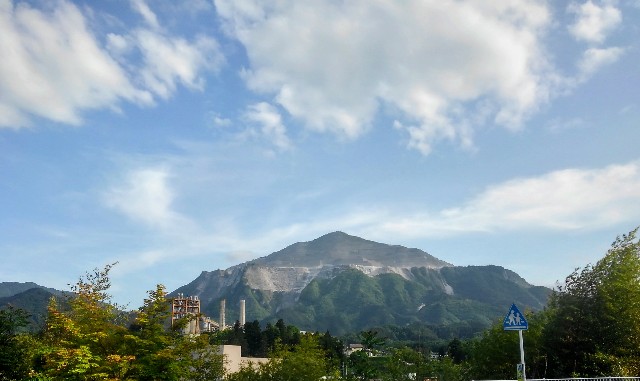 f:id:mjrun:20190528125121j:plain f:id:mjrun:20190528125121j:plain