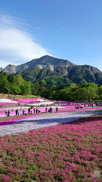 f:id:mjrun:20200505215216j:plain f:id:mjrun:20200505215216j:plain