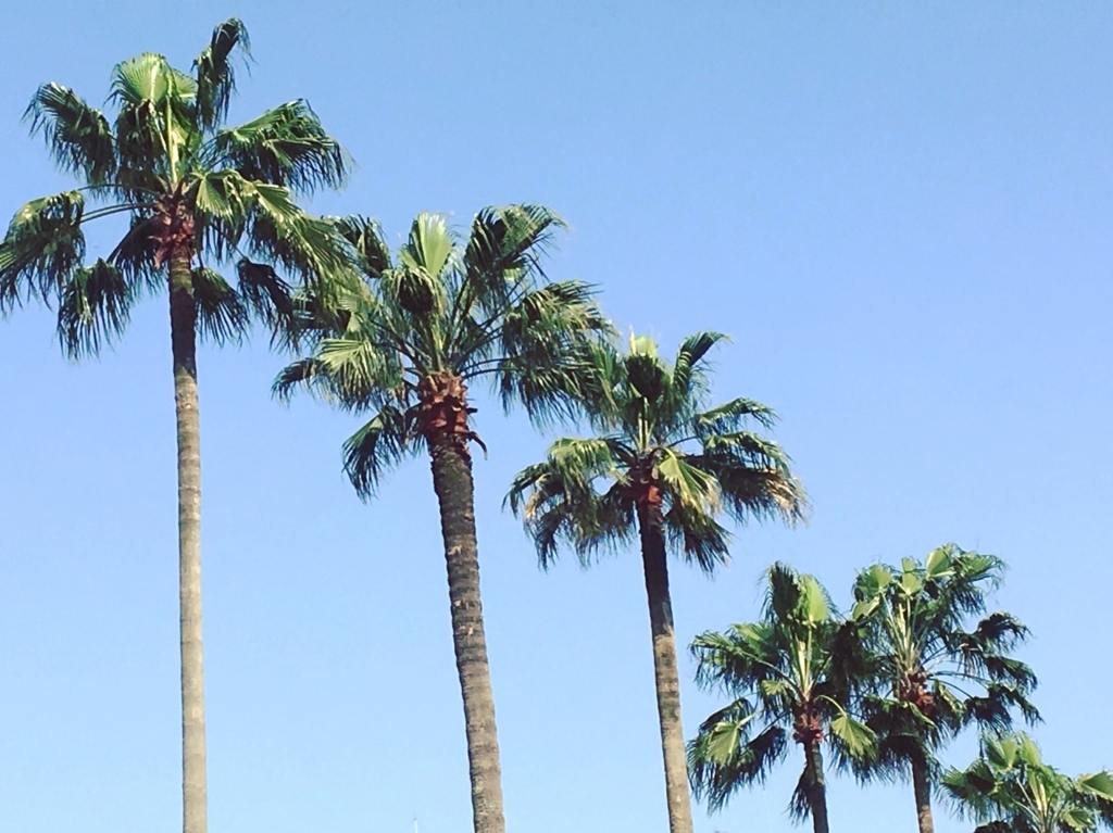 アーバンゲリラキャンピングライフ Y Slog