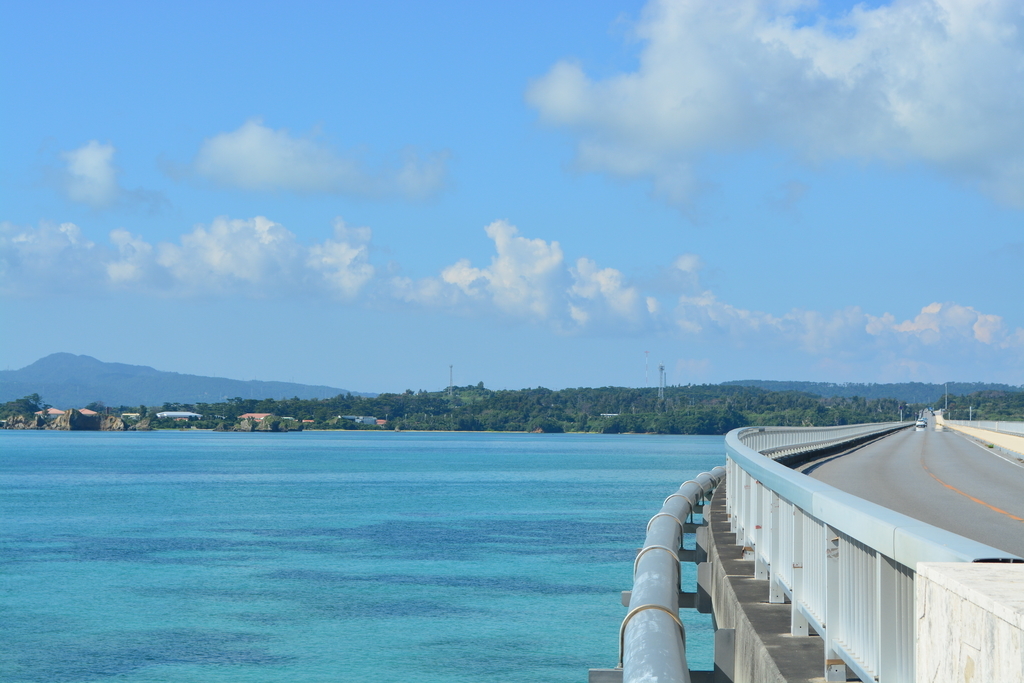 f:id:mk-blog:20190131211726j:plain f:id:mk-blog:20190131211726j:plain