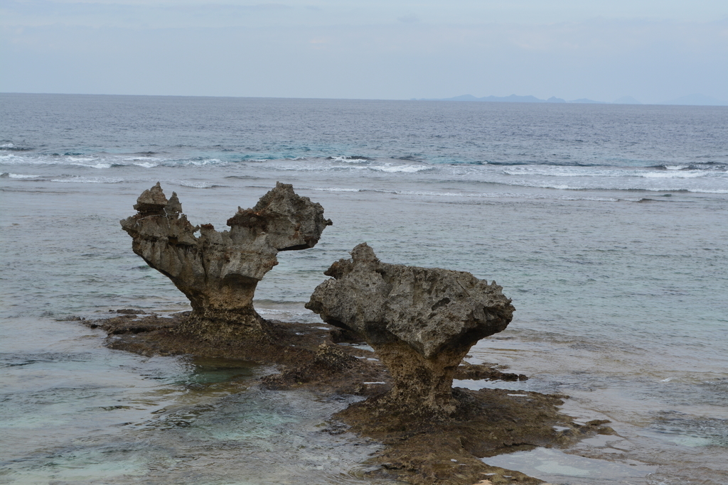 f:id:mk-blog:20190131211942j:plain f:id:mk-blog:20190131211942j:plain