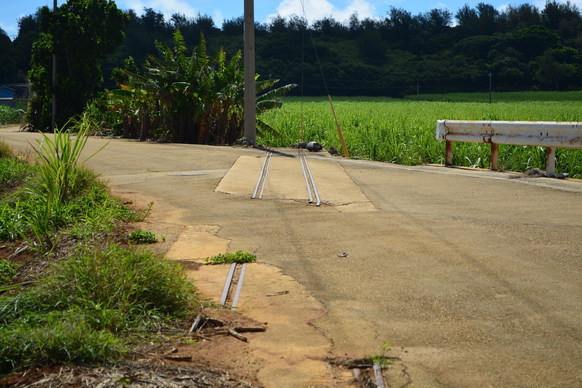 f:id:mk-blog:20190623182044j:plain f:id:mk-blog:20190623182044j:plain
