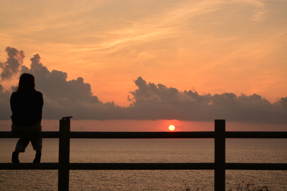f:id:mk-blog:20190623183543j:plain f:id:mk-blog:20190623183543j:plain