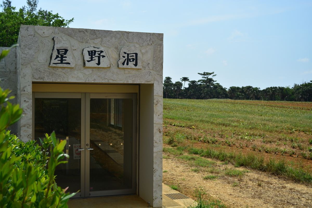 f:id:mk-blog:20190623183638j:plain f:id:mk-blog:20190623183638j:plain