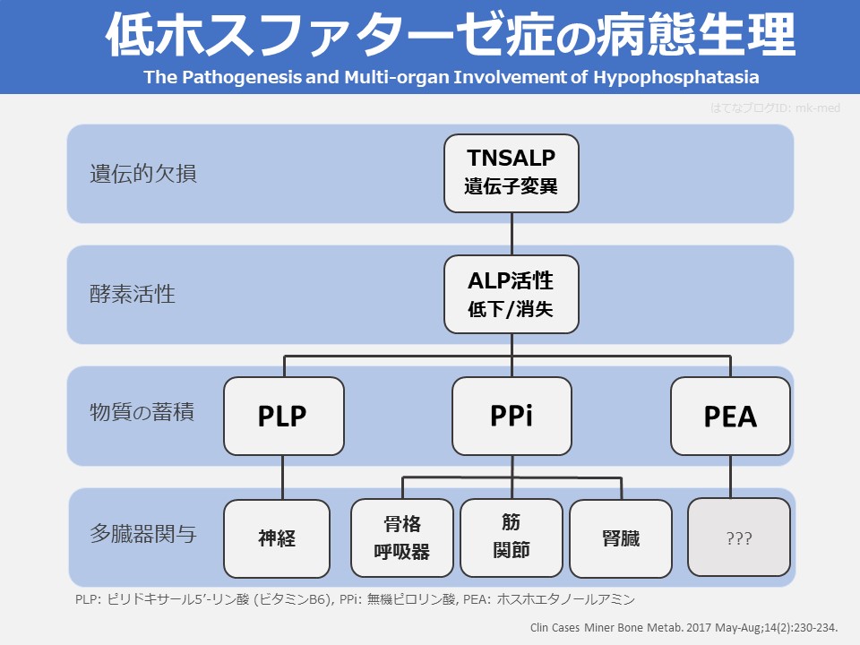 臨床病態栄養学 = Pathophysiological Bases of C… 臨床病態栄養学 = Pathophysiological Bases of C… 健康・医学