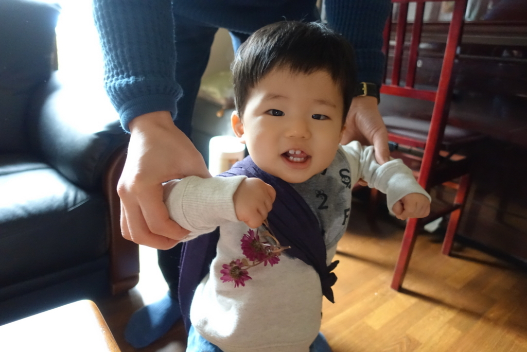 f:id:mk321:20180111095431j:plain