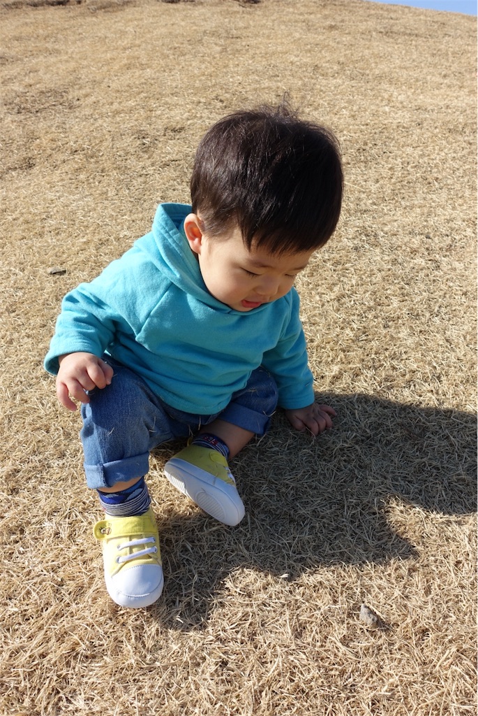 f:id:mk321:20180214013331j:image