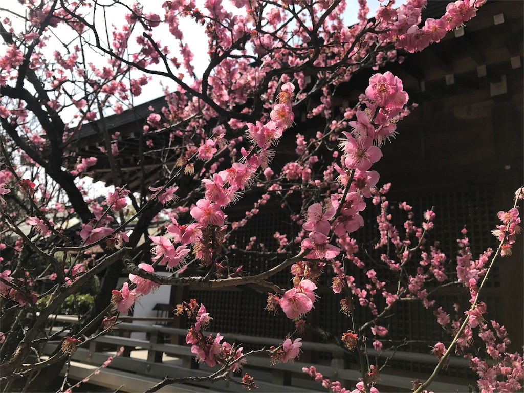 f:id:mk615ts13:20181004220032j:image f:id:mk615ts13:20181004220032j:image