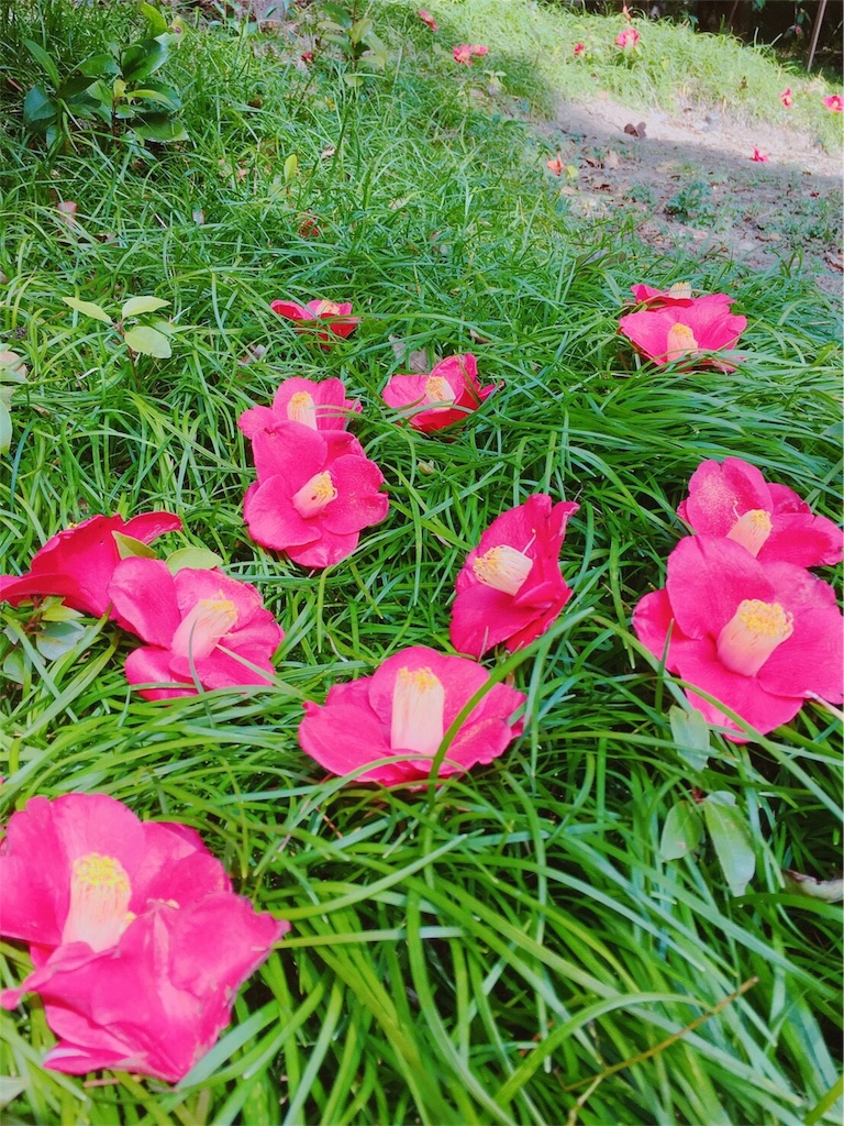 f:id:mk615ts13:20181004220131j:image f:id:mk615ts13:20181004220131j:image