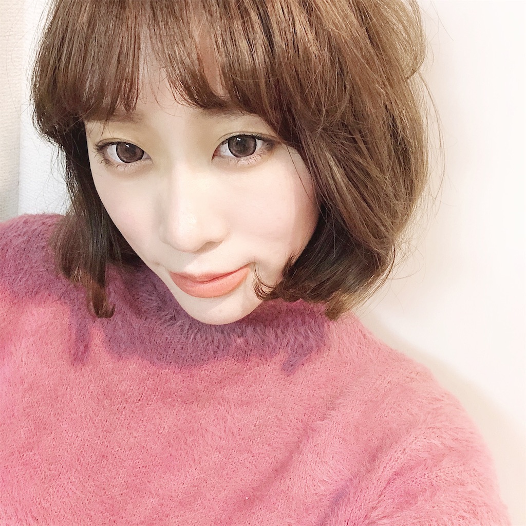 f:id:mk615ts13:20190209015732j:image f:id:mk615ts13:20190209015732j:image