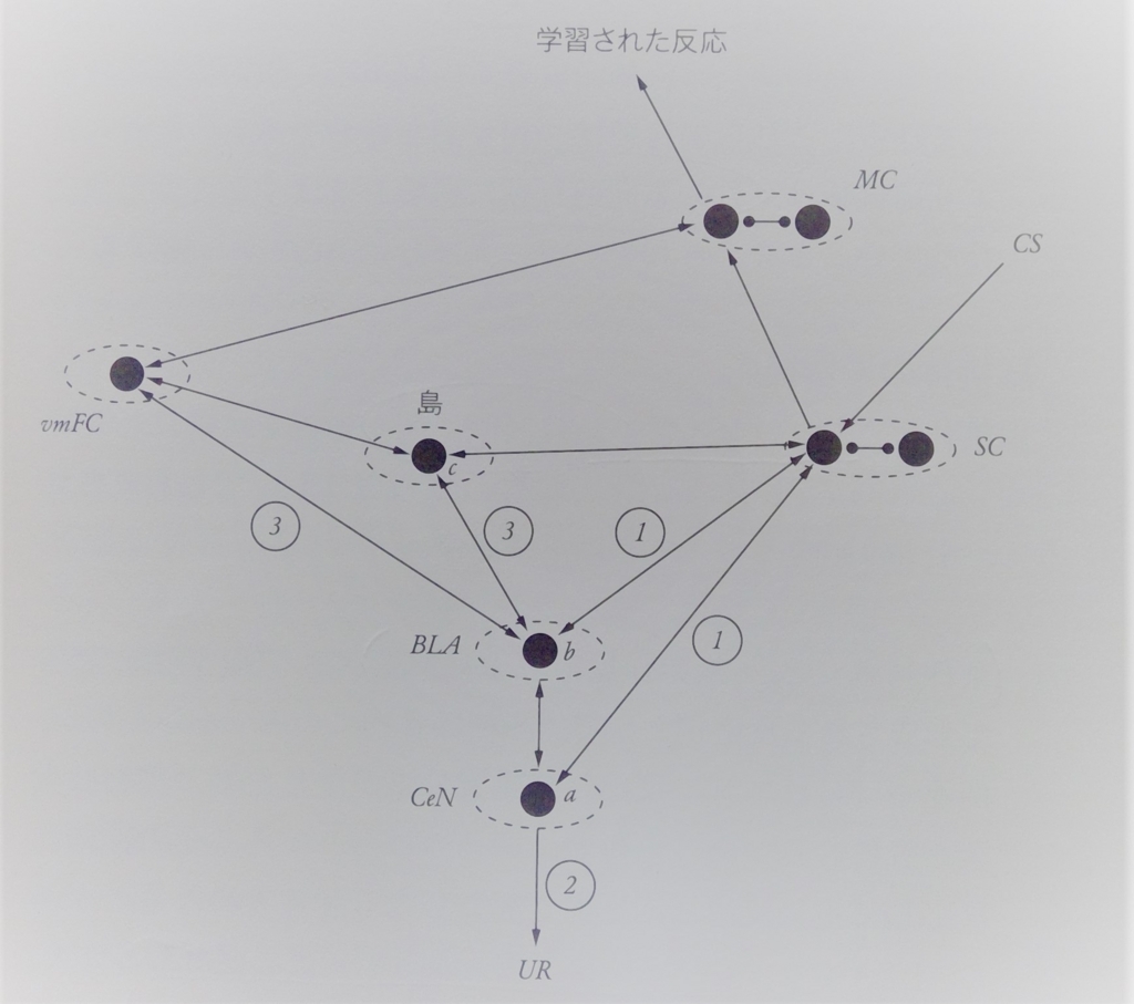 f:id:mk8810b:20180701225031j:plain f:id:mk8810b:20180701225031j:plain