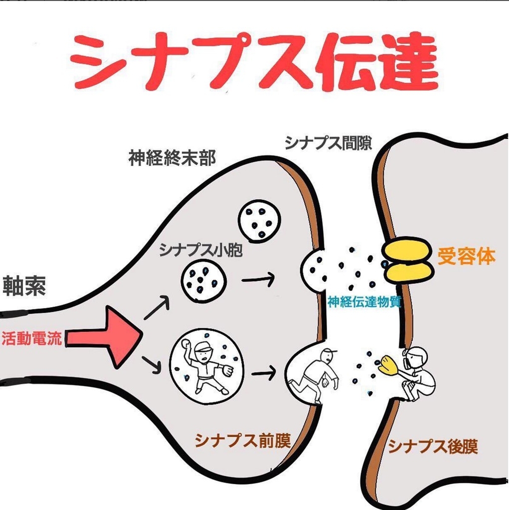 f:id:mk8810b:20181002054829j:plain f:id:mk8810b:20181002054829j:plain