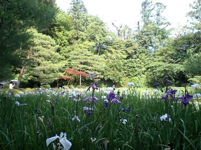 f:id:mk_taxi:20190604180907j:plain f:id:mk_taxi:20190604180907j:plain