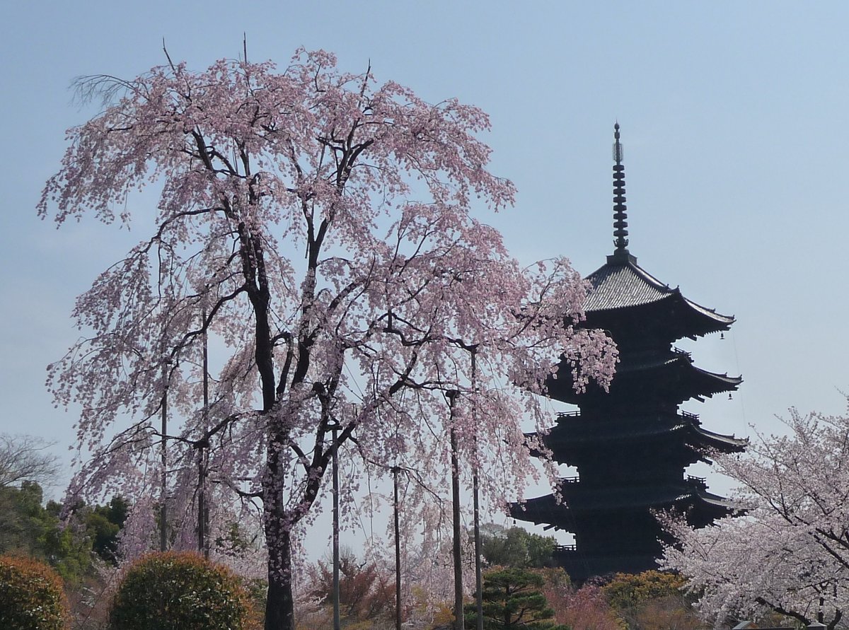 f:id:mk_taxi:20190605184715j:plain f:id:mk_taxi:20190605184715j:plain