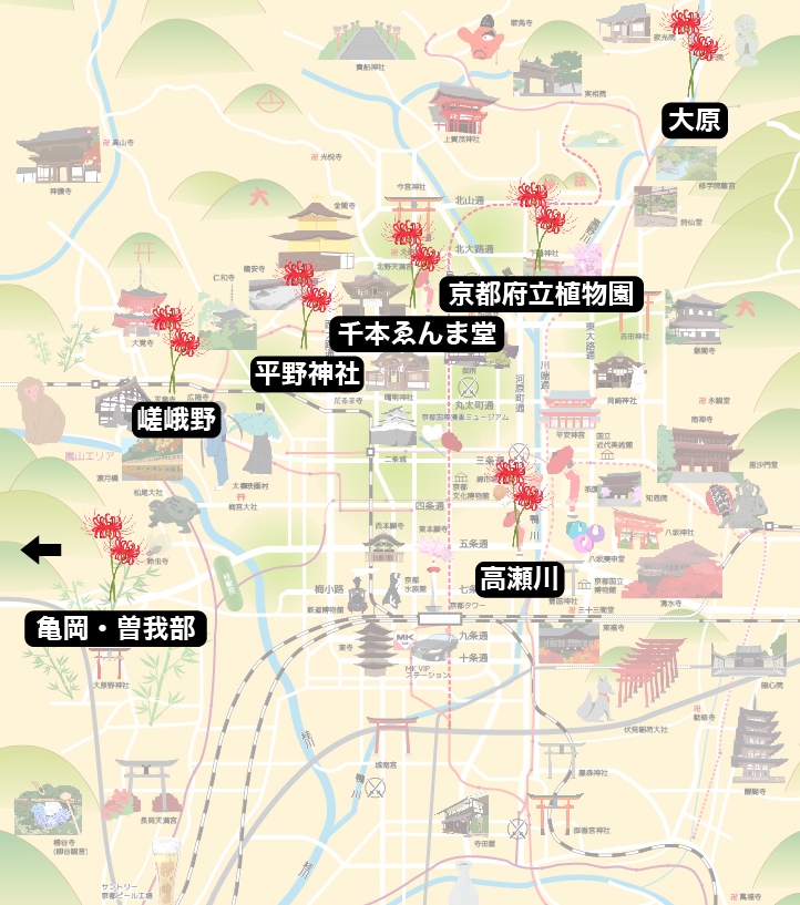 f:id:mk_taxi:20191002192225j:plain 彼岸花