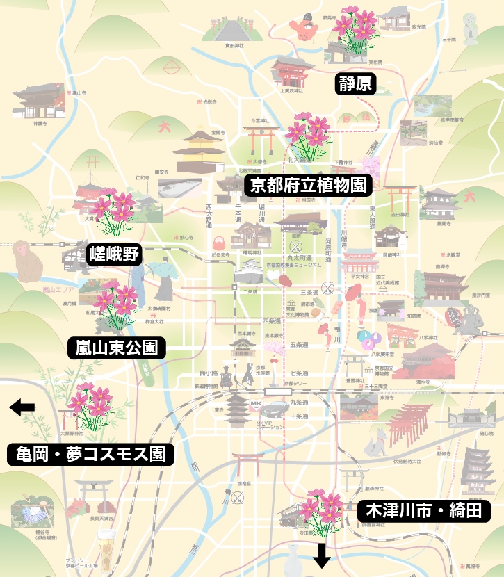 f:id:mk_taxi:20191002192422j:plain コスモス