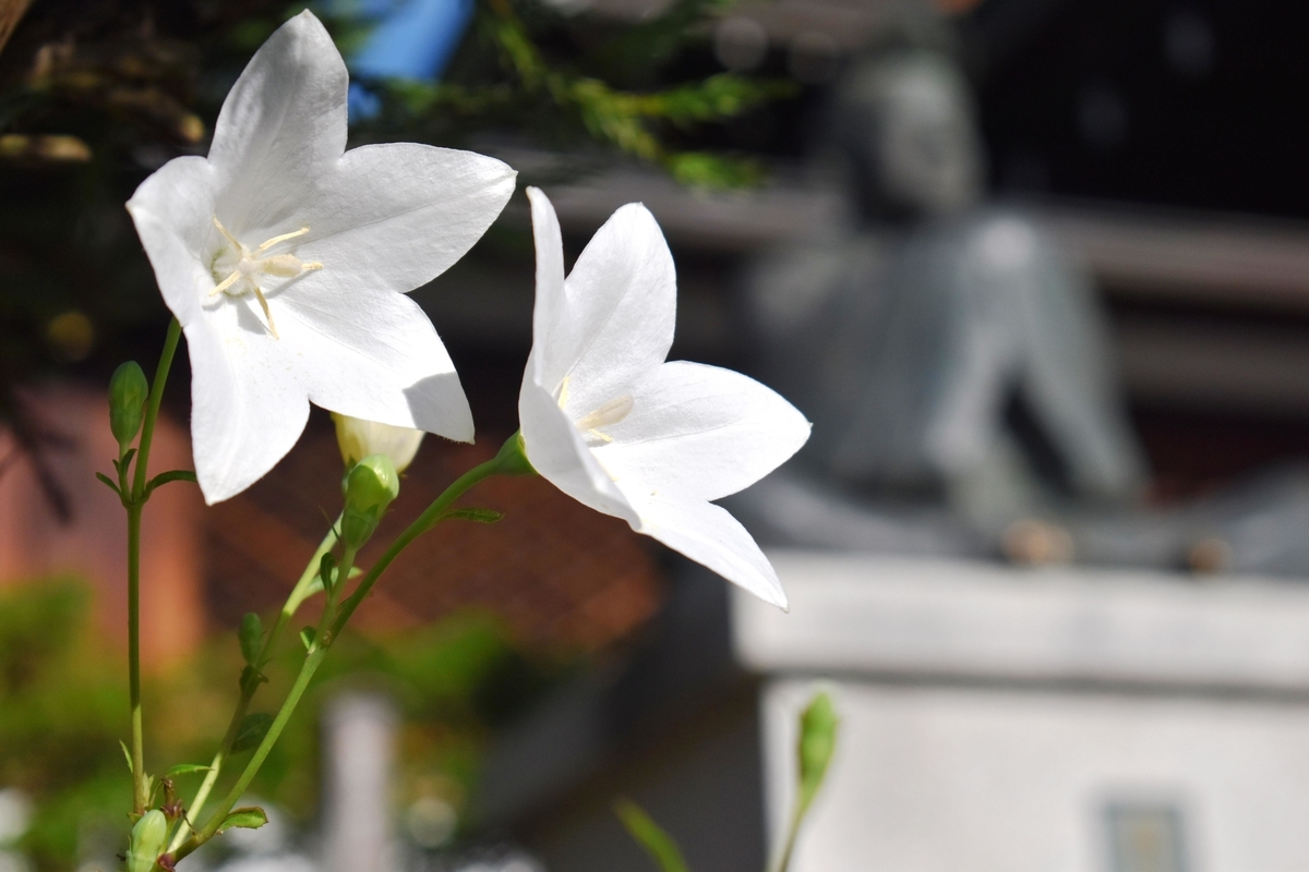 f:id:mk_taxi:20191009095114j:plain f:id:mk_taxi:20191009095114j:plain