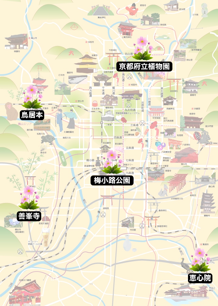 f:id:mk_taxi:20191009115110j:plain f:id:mk_taxi:20191009115110j:plain