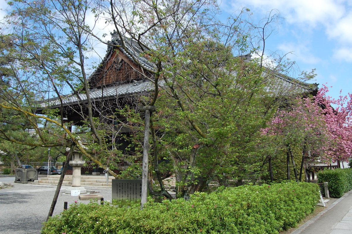 f:id:mk_taxi:20191011140329j:plain 御会式桜