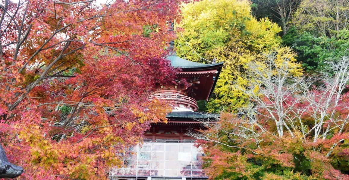 f:id:mk_taxi:20191018193118j:plain 法輪寺