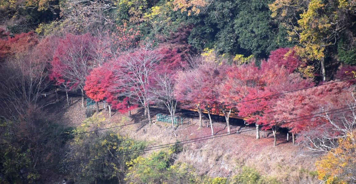 f:id:mk_taxi:20191018193451j:plain "亀山公園