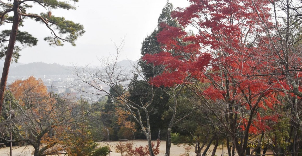 f:id:mk_taxi:20191023183632j:plain 亀山公園