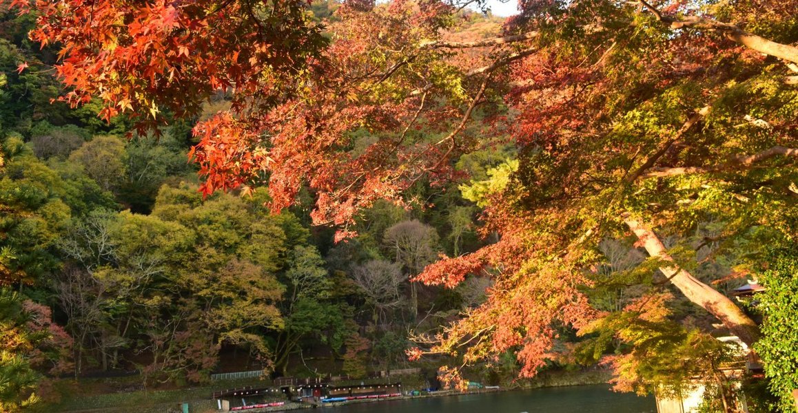 f:id:mk_taxi:20191023183658j:plain 亀山公園