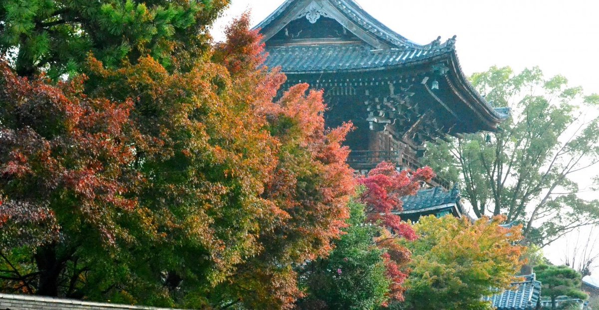 f:id:mk_taxi:20191023190313j:plain 清凉寺