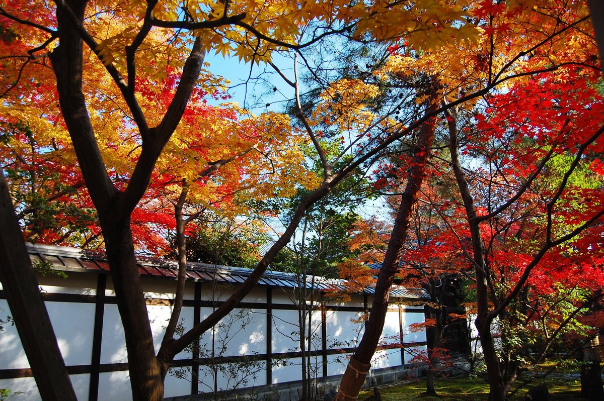 f:id:mk_taxi:20191023190341j:plain 清凉寺